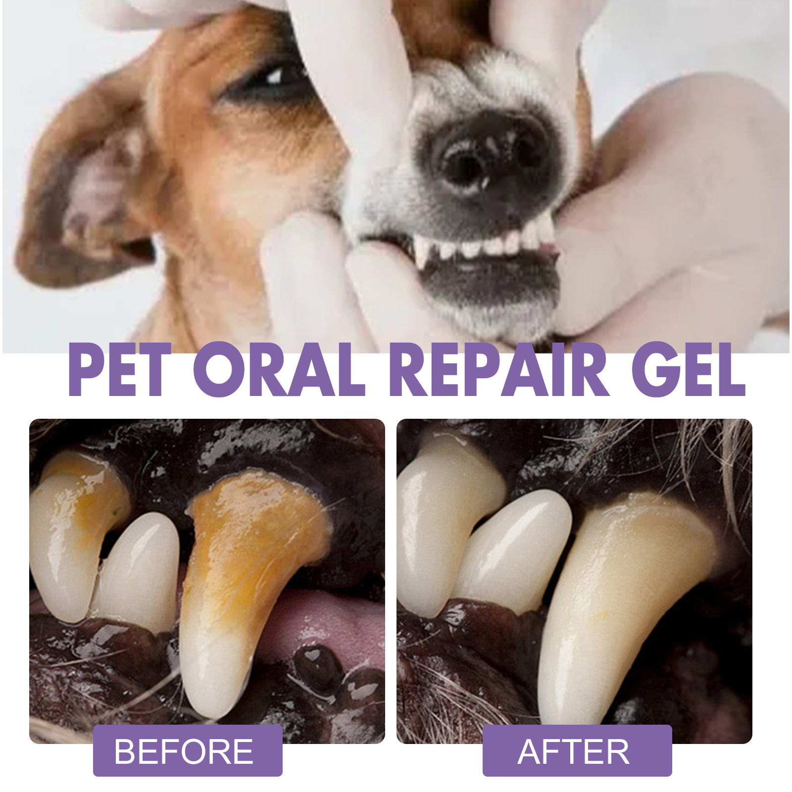 Gel de réparation orale pour a - Teeth Whitening Price avis et prix