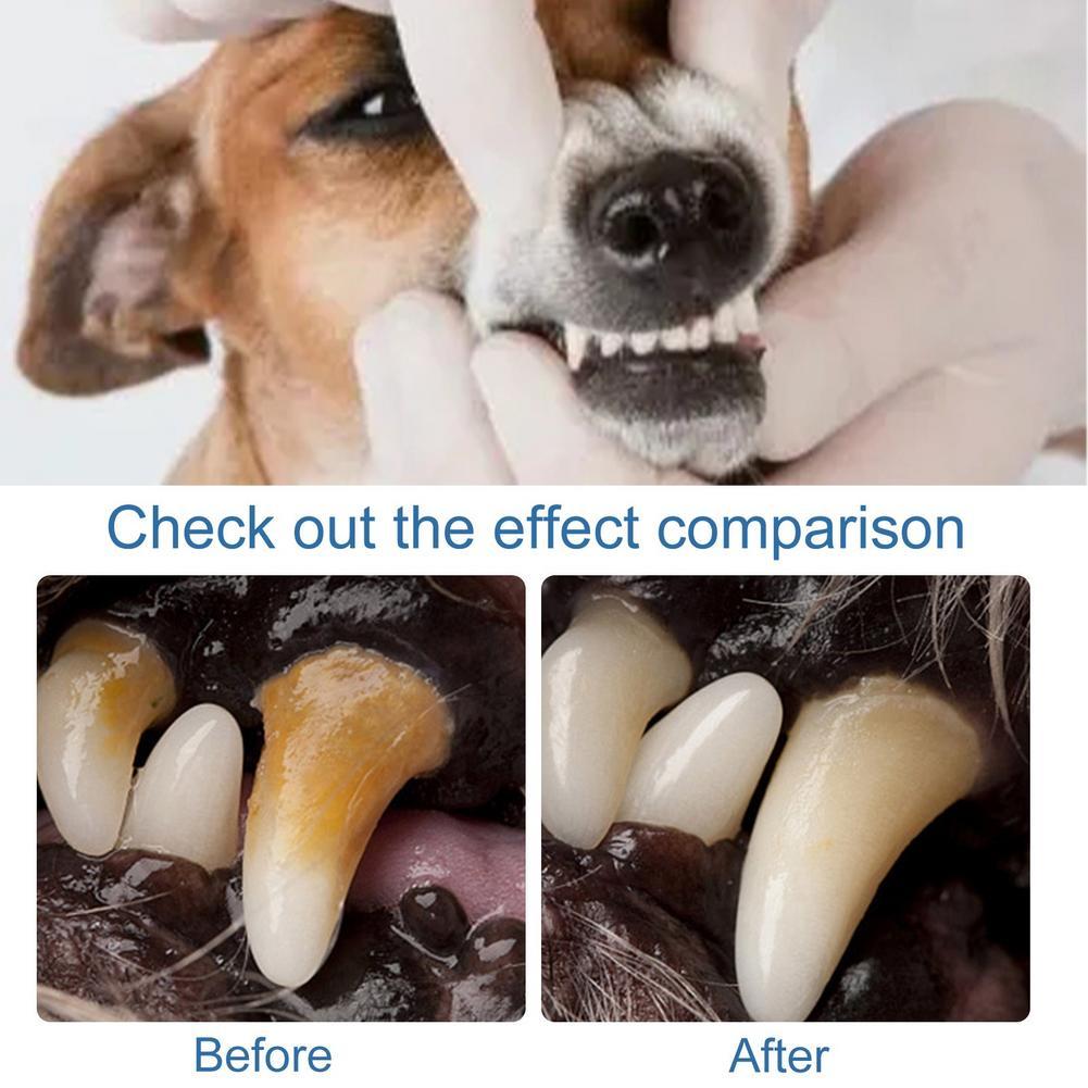 Spray anti-tartre pour animaux - Teeth Whitening Yellow Teeth avis et prix
