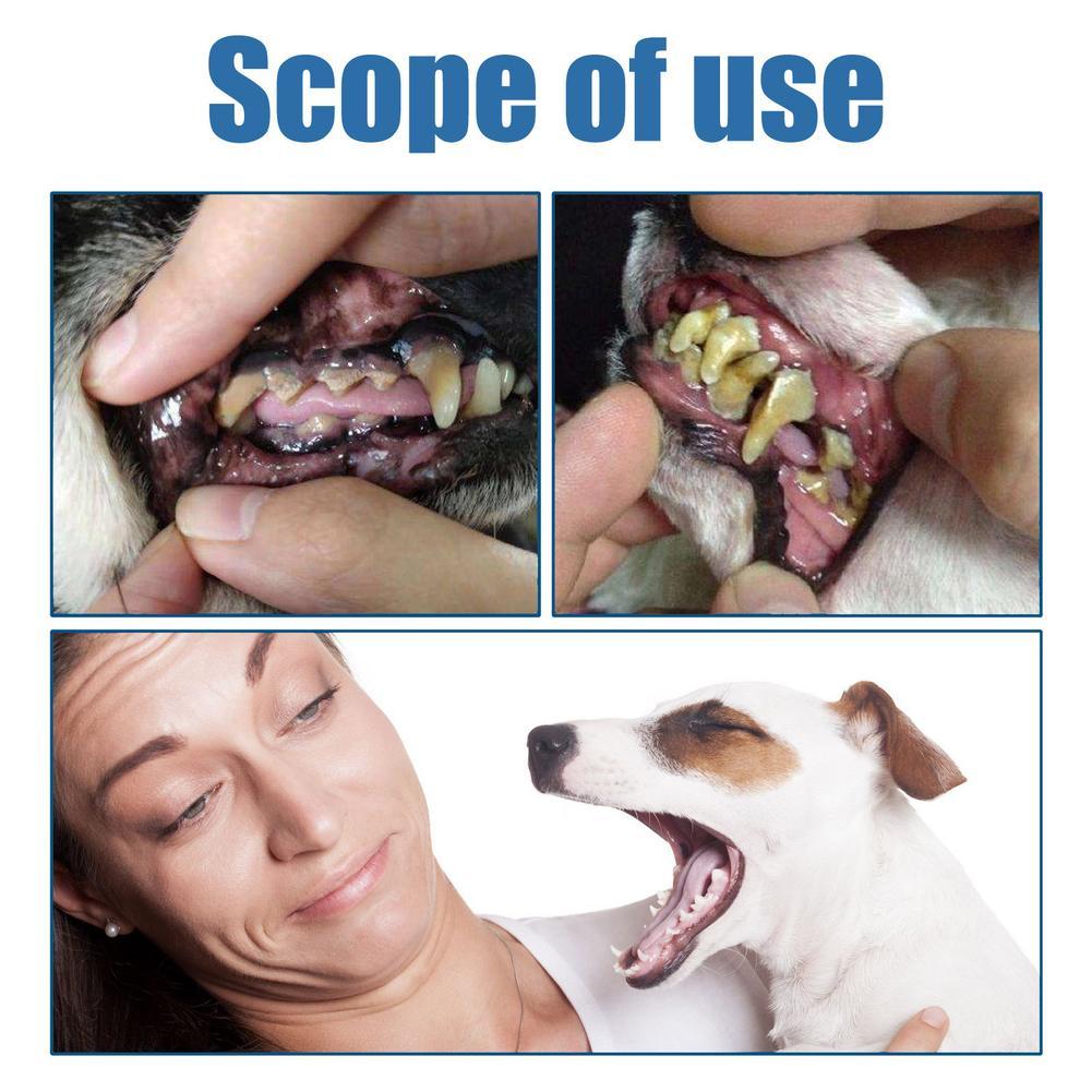 Spray anti-tartre pour animaux - Teeth Whitening Yellow Teeth avis et prix