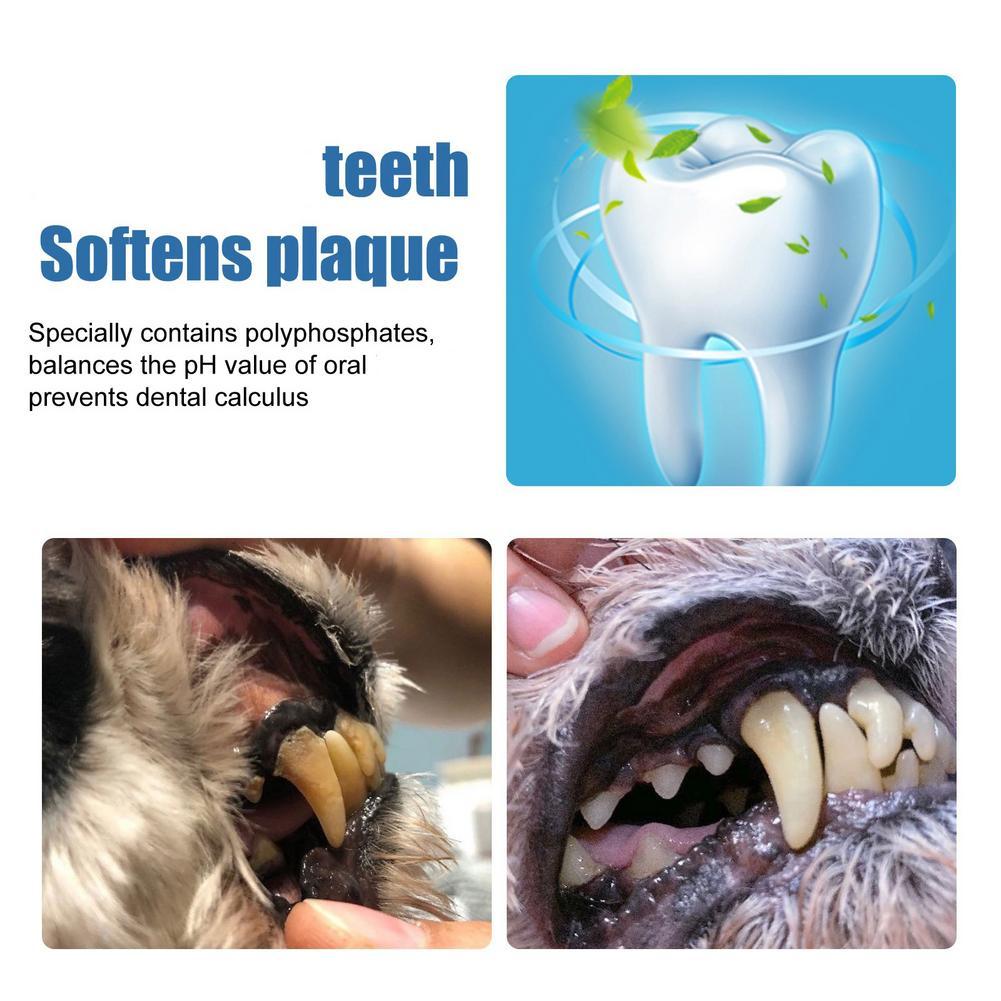Spray anti-tartre pour animaux - Teeth Whitening Yellow Teeth avis et prix